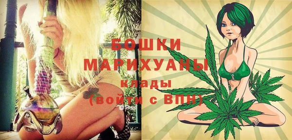 гидропоника Богданович