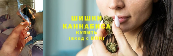 спиды Бородино