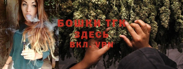 гидропоника Богданович