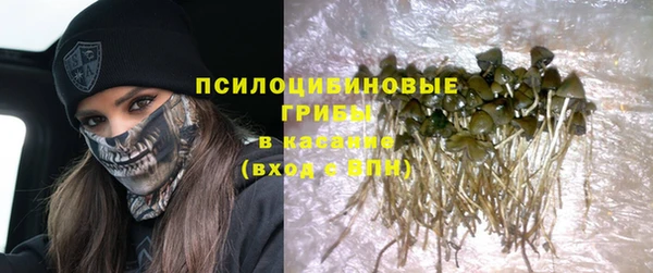 СК Богородицк